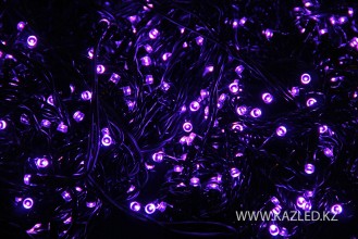 LED-PHDLB-60M-600L-240V-ROZ