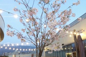 IMG_20170621_230515_109