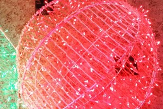 22352468-1458349084246922-7996216618151575552-n